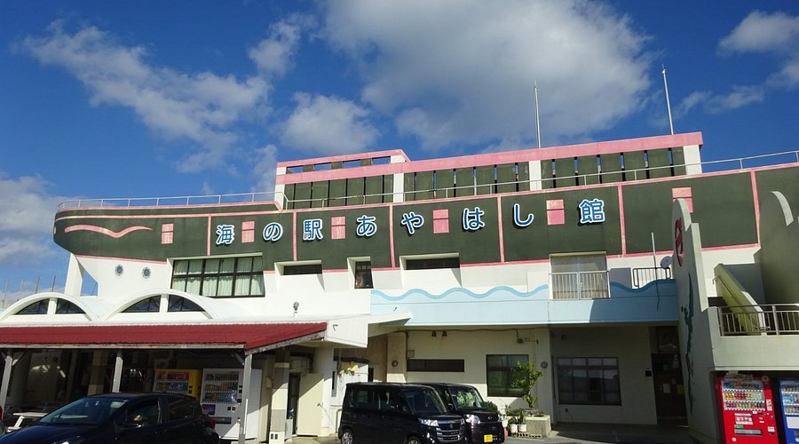 🏛️ うるま市立海の文化資料館(2階) 이미지 5